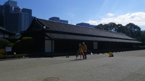 IMGP1584