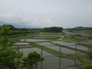 IMGP2685
