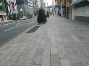 IMGP3529