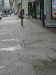 IMGP3530