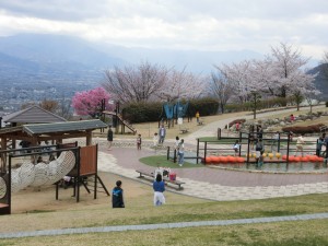 CIMG0350