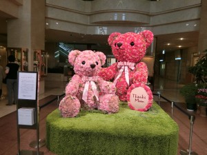 CIMG0205