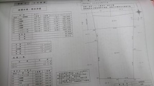 40016071_1818558494927102_2879566742068133888_n